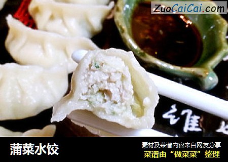 蒲菜水饺