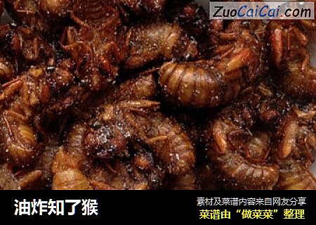 油炸知了猴