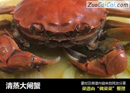 清蒸大闸蟹