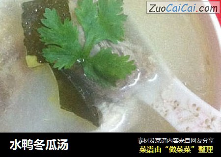 水鸭冬瓜汤