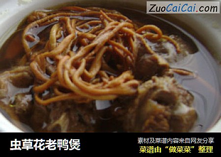 虫草花老鸭煲