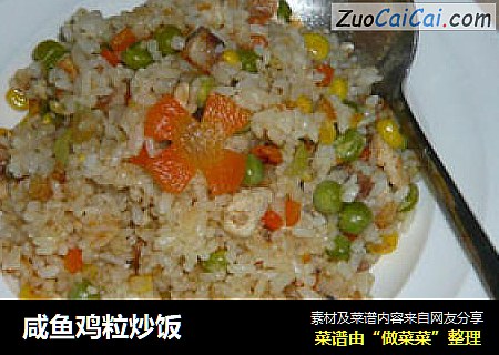 咸鱼鸡粒炒饭