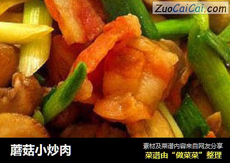 蘑菇小炒肉