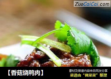 【香菇烧鸭肉】