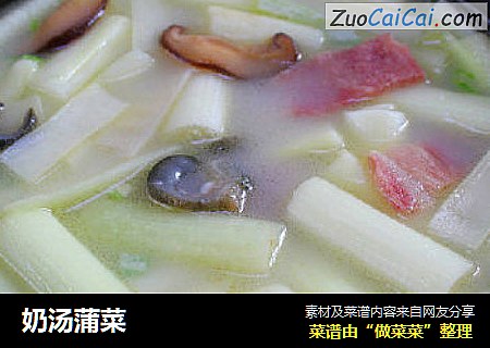 奶汤蒲菜