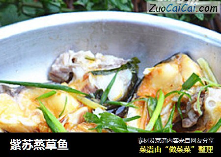 紫苏蒸草鱼