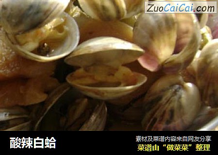 酸辣白蛤