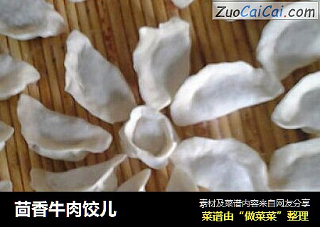 茴香牛肉饺儿