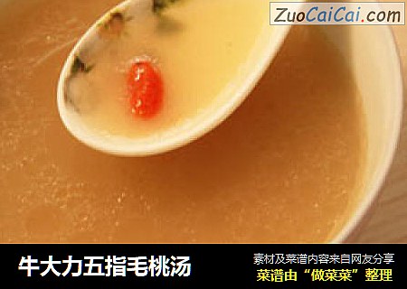 牛大力五指毛桃汤