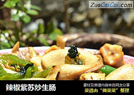 辣椒紫苏炒生肠