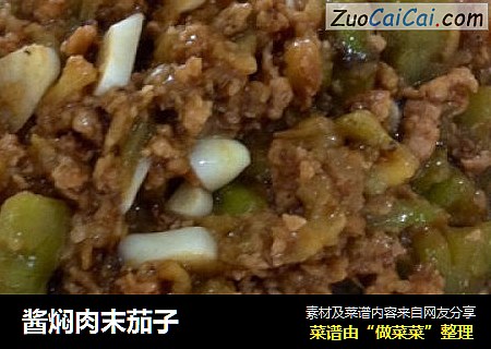 酱焖肉末茄子