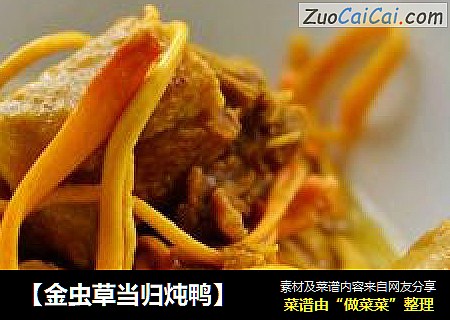 【金虫草当归炖鸭】