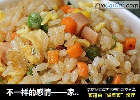 不一样的感情——家常炒饭