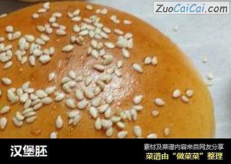 汉堡胚