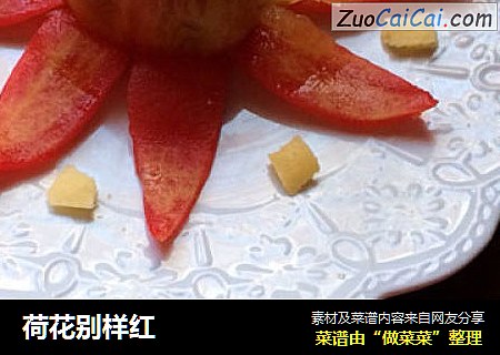 荷花别样红