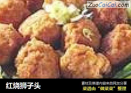 红烧狮子头