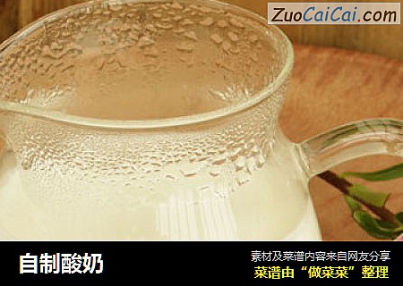 自制酸奶