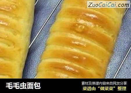 毛毛虫面包