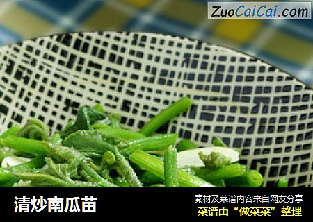 清炒南瓜苗