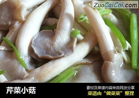 芹菜小菇