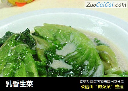 乳香生菜