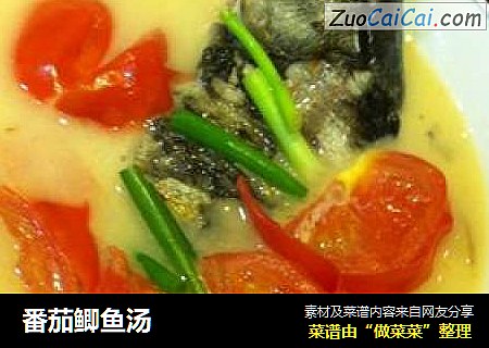 番茄鲫鱼汤