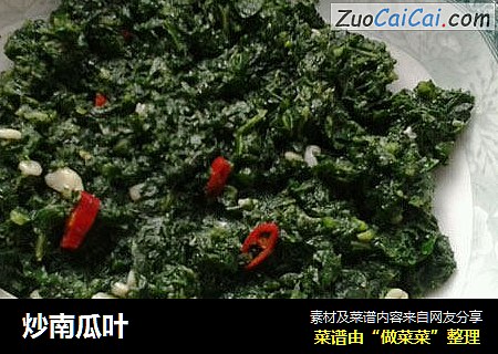 炒南瓜叶