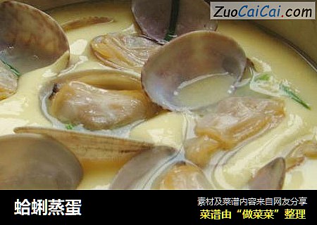 蛤蜊蒸蛋