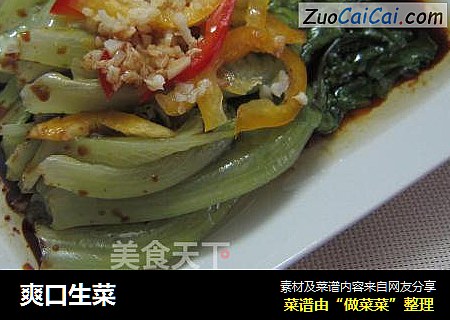 爽口生菜