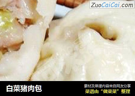 白菜猪肉包