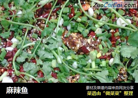 麻辣鱼
