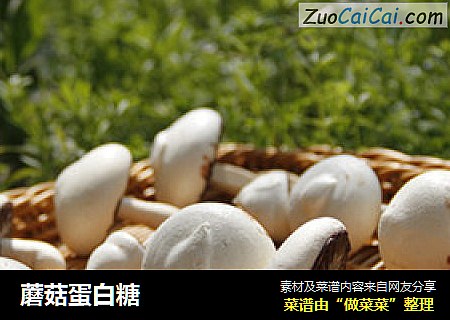 蘑菇蛋白糖