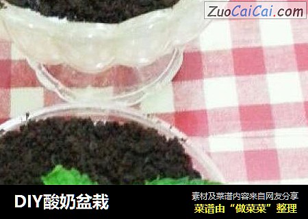 DIY酸奶盆栽
