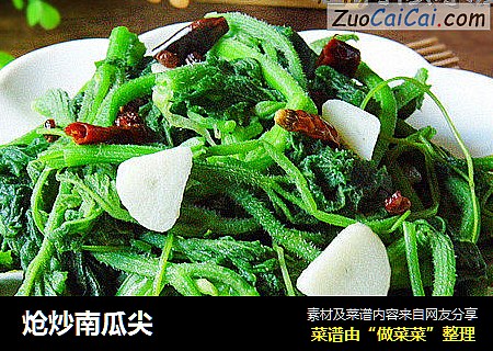 炝炒南瓜尖