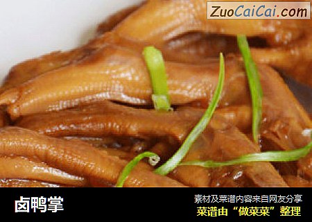 卤鸭掌