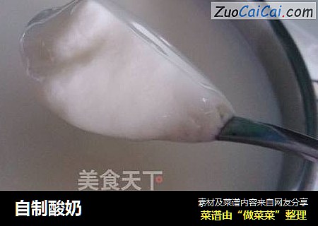 自制酸奶