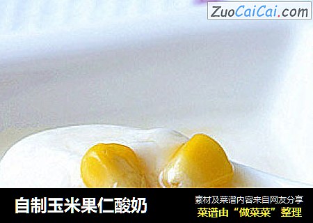 自制玉米果仁酸奶