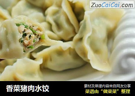 香菜猪肉水饺