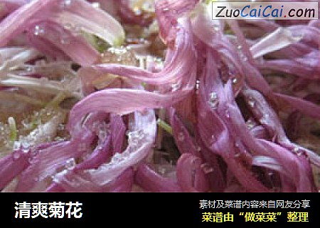 清爽菊花