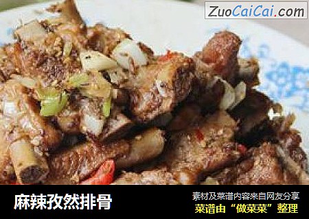 麻辣孜然排骨