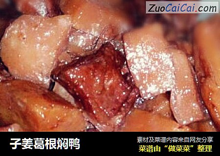 子姜葛根焖鸭