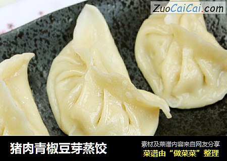 猪肉青椒豆芽蒸饺
