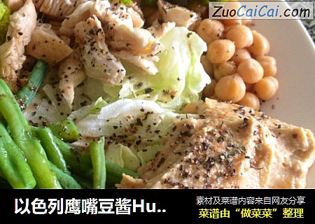 以色列鹰嘴豆酱Hummus健身餐