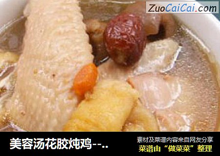 美容汤花胶炖鸡---附（干鱼肚）的泡发方法