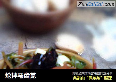炝拌马齿苋