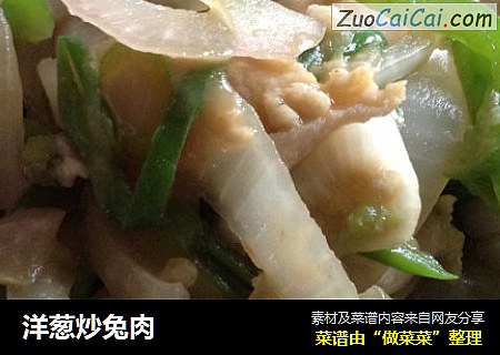 洋葱炒兔肉