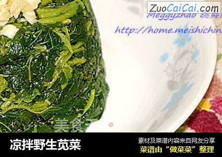 凉拌野生苋菜