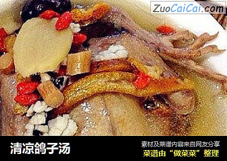 清凉鸽子汤