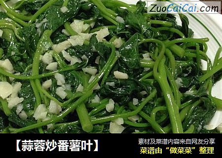 【蒜蓉炒番薯叶】