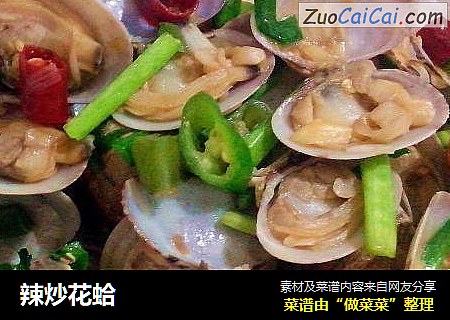 辣炒花蛤
